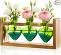 Nacome Plant Terrarium Propagation Stations: Mothers Day Gifts for Mom Plant Lovers Women Wife Daughter - 3 Bulb Glass Vase with Wooden Stand Tabletop for Hydroponics Home Garden Decor(Green)