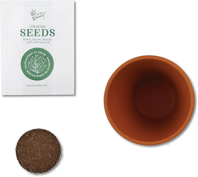 BUZZY Seeds Terracotta Mini Grow Pots | Cactus 6-Pack Daydream Collection | Indoor Flower & Herb Starter Kit for Kids & Adults