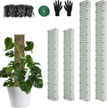 60"/40"/24" Metal Moss Pole, D Shape Sphagnum Moss Pole, Moss Poles for Climbing Plants, Monstera, Indoor Climbing Plants (2 Each of 40" 24")