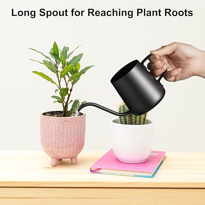 12 oz / 350 ml Small Watering Can Indoor Plants, Stainless Steel Plant Watering Can with Long Spout (Black) (12oz)