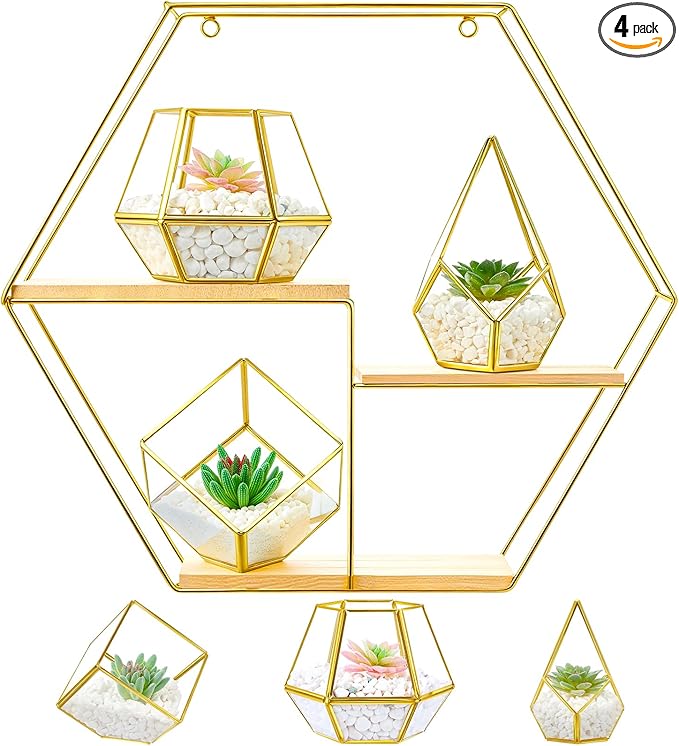 CroBlissful Hexagonal Decorative Metal Wall Shelves Include 3 Pcs Small Open Terrarium Planter Hexagonal Floating Wall Mounted Shelves for Bedroom Living Room Hallway Office Decor