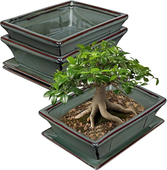Large Ceramic Bonsai Pots with Drainage Trays Set of 2, 10" Green Glazed Bonsai Planters for Indoor/Outdoor Use, Rectangular Shallow Bonzai Tree Pot for Succulent, Orchids, Cacti, Home, Patio, Garden,