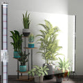 Super-Bright 48" T10 Plant Lamp, 6000k Full Spectrum Standing Grow Light, 3 Modes & 5 Dimming Levels, Timer 4/8/12H,12V/3A High Power Output for Large & Tall Indoor Plants