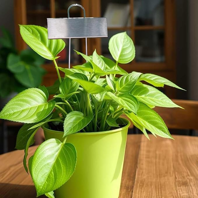 Plant Labels Metal 304 Stainless Steel Garden Plant Markers Weatherproof Garden Stake Tag Plant Tags with Pen for Outdoor Seedling Flower Herb Vegetable Greenhouse(30 Pack) (Stainless Steel)