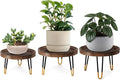 OBTAIN Plant Stand Indoor Outdoor,3 Set Mid Century Style Walnut Wood Color Plant Stand,Waterproof Design Modern Plant Table,Easily Assemble Come With Tools,Nice For Room Decor (S,M,L)