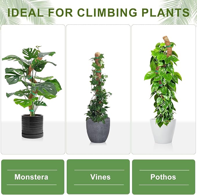 Moss Pole Monstera Plant Support, 2 Ft, 2 Pack Sustainable Coir Bendable Moss Pole Stakes, Plant Sticks for Climbing Vines, Pothos, Potted, Comes with Velcro Tape and Hemp Rope