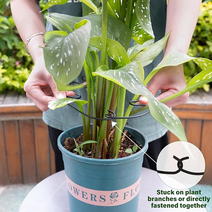 Yohsnor 5PCS Monstera Plant Stem Support -7.3*6.25IN Adjustable Metal Stake for Climbing Plants, Durable Garden Support with Gentle Grips, Ideal for Indoor & Outdoor Use, Ideal Gift for Plant Lovers