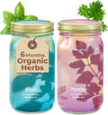 Modern Sprout Mason Garden Jar - Self-Watering Hydroponics Growing System Kit w/Organic Herb Seeds - Sprouting Jar Planter for Indoor Herb Garden - Seed Starter Kit - Decor & Gifting - Basil+Parsley