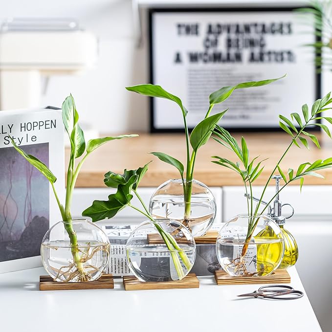 Propagation Vases for Plants - Glass Terrarium Planter with Wooden Stand, Small Desktop Oblate Hydroponic Propagation Vases for Modern Home & Office Decor (2)
