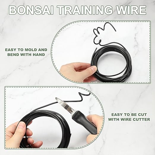 Bonsai Training Wire, 3.5mm x 32.8 ft Anodized Aluminum Floral Plant Training Wire Bendable Metal Stems Accessories for Gardening Branch Fixing Crafts (Black)