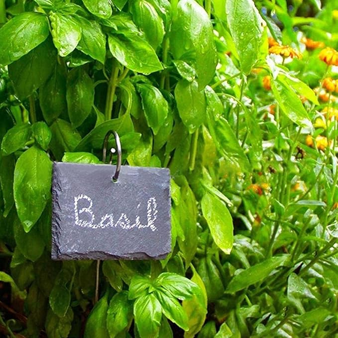 20Pcs Silver Stainless Steel Plant Label Hooks, Hanger Gardens Stake, Garden Markers Stake Plant Label Holder,Rustproof Deformed Garden Plant Sign Hooks Hanging Rods, Outdoor Hanging Brackets(20cm)