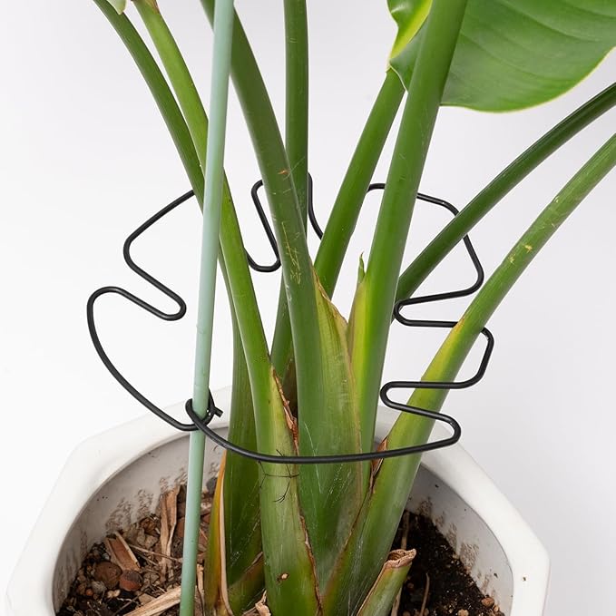 Yohsnor 5PCS Monstera Plant Stem Support -7.3*6.25IN Adjustable Metal Stake for Climbing Plants, Durable Garden Support with Gentle Grips, Ideal for Indoor & Outdoor Use, Ideal Gift for Plant Lovers