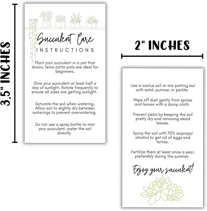 Succulent Care Instruction Cards with Icons 50pk 2x3.5” Home Propagated Plants Tags Labels White Simple for Sale Client Care How to Water Kit