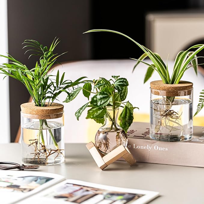 Plant Propagation Station, 2 Style Glass Planter Terrarium Set for Hydroponic Plants | Home Office Tabletop Decor, Gardening Gifts for Women, Mom, Plant Lovers (8)