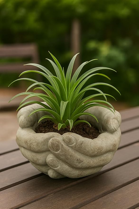 The Bridge Collection Cupped Hands Sculpture Cement Wall Planter Pot