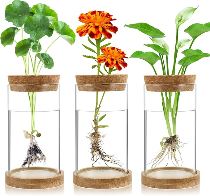 Plant Propagation Stations 3 Pack Plant Terrarium, Propagation Jars Glass Hydroponic Vases for Indoor Plants, Desktop Glass Plant Pot with Lid & Wooden Stand Gardening Gifts for Women Mom Plant Lovers