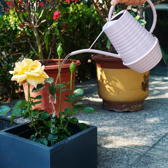 Small Watering Can, Matte Pink (Almost Mauve), 34oz., Metal Watering Can with Long Spout, Nice Indoor Water Can, Plant Water Can for Indoor Plants