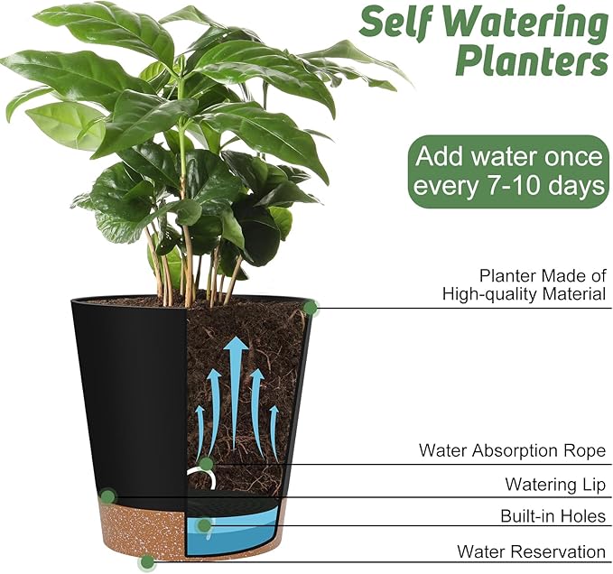 YNNICO Indoor Self Watering Planters with Drainage Holes and Saucers, 8, 7, 6.5, 6, 5.5, 5 Inches, Black, 6 Pots