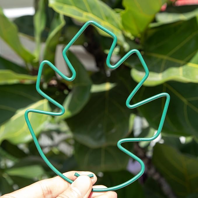 Yohsnor Monstera Plant Stem Support, 5-Pack Durable Indoor Stabilizer for Climbing Plants, 5.5x4.7 Inches Leaf Holder, for Plant Lovers, Enhance Your Indoor Garden