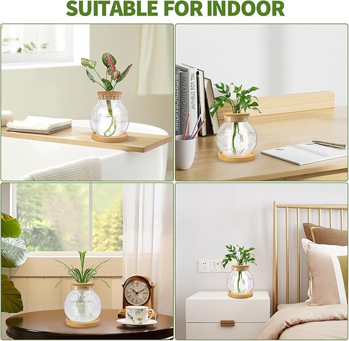 Plant Propagation Station, Water Planting for Plants with Tray & Wooden Saucer, Hydroponics Plants Jars Home Office Desktop Decor, Glass Planters for Indoor Hydroponic Decor