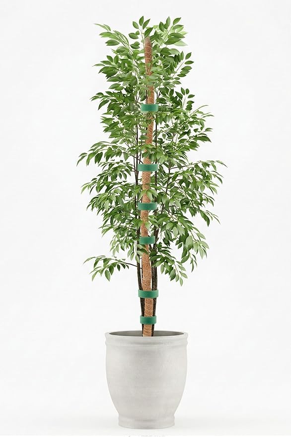 UNCO- Bendable Moss Pole Monstera Plant Support, 63 Inch, 2 Pack, 10 Feet Plant Ties, Moss Poles for Climbing Plants and Monstera Trellis