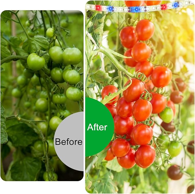 LED Grow Light Strips for Indoor Plants, 3 Head Each 10ft 120LED Red Blue White Full Spectrum Plant Grow Light Tape with 3/9/12H Timer 4 Dimmable Levels, 24W Plug in Plant Light for Seedling Shelf