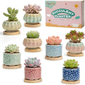 8 Pcs Succulent Pots with Ice Crack Glaze, 2 Shapes & 8 Colors Ceramic Succulent Planters with Drainage Holes & Bamboo Saucers, Indoor Plant Pots for Home Garden，Desk Decor, Office Decor, Gift Idea