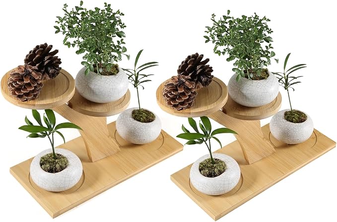 Window Sill Plant Shelf，Desk Desktop Bamboo Plant Stand， Table Succulent Plant Stand for Home, Office, Living Room, Bedroom Decoration(2set)