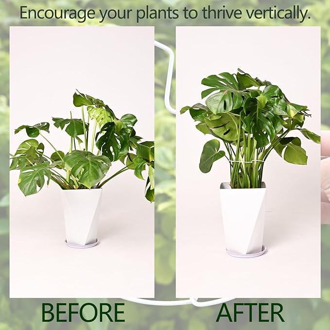 YOHSNOR 5PCS Monstera Plant Stem Support White 9 * 7.6in - Durable Stake Holder for Indoor Climbing Plants, Adjustable Installation Ideal for Fishbone Cactus and Plant Enthusiasts
