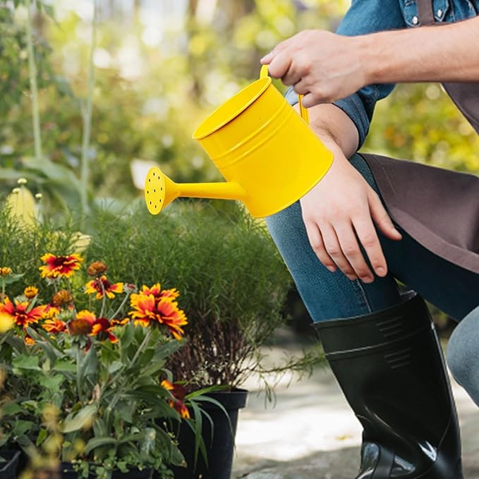 1.6L Watering Can for Indoor Outdoor Plants, Modern Small Watering Cans, Metal Flower Watering Can, Long Spout Watering Can-Colorful Plant Waterer for Indoor Bonsai Plants Garden Flowers (Yellow)