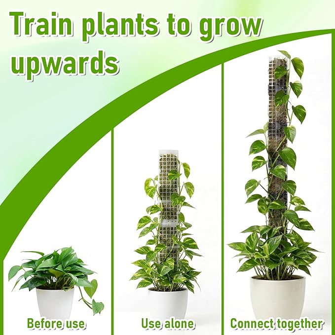 6 Pcs 24 Inch Plastic Moss Pole for Plants Monstera, D Shaped Moss Pole, Plant Poles for Climbing Plants, Plant Support for Indoor Plant Work with Sphagnum