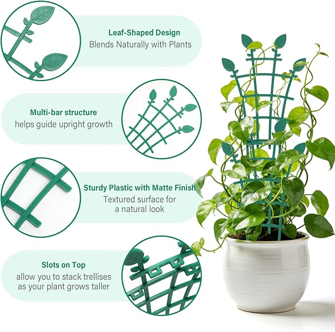 Trellis for Potted Plants (12)