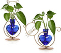 Plant Terrarium Plants Propagation Station Cat Lover Gifts for Women Home Office Decor Cat Desk Accessories