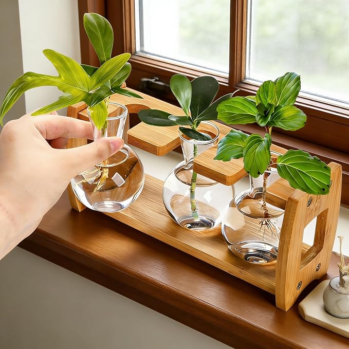 Pumtus 2 Pack Propagation Stations with Bamboo Stand, 8 Bulbs Desktop Water Plant Terrarium Vase, Retro Plant Propagation Jars for Indoor Plants, Glass Planter Gifts for Home Office Table Decor