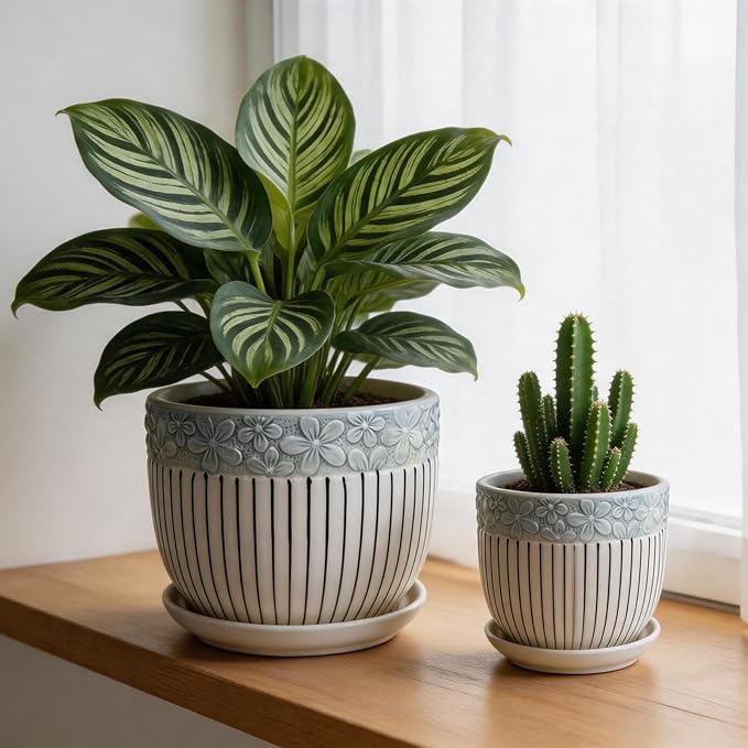 Vintage Flower Pots for Indoor Plant, Round Ceramic Plant Pots with Drainage Holes and Saucers, 6.7/5.2/3.9 Inches Retro Flower Planters Set of 3