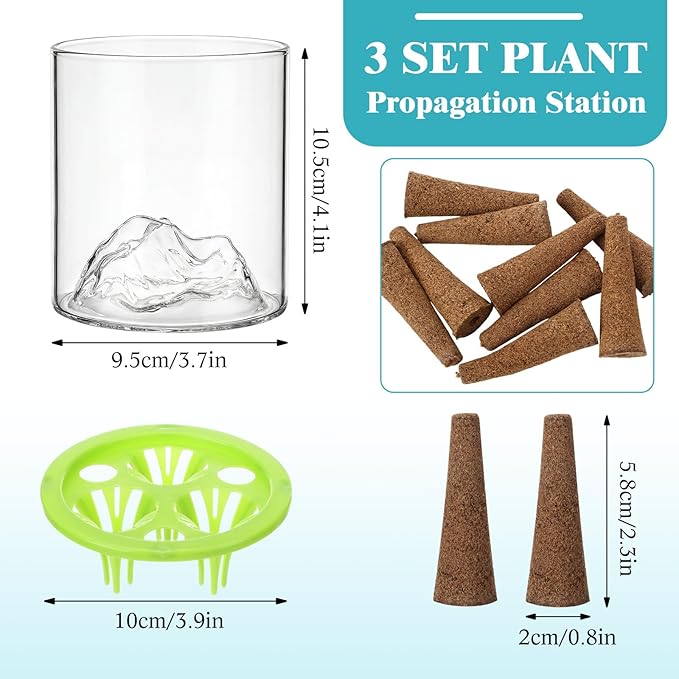 3 Sets Plant Propagation Station Vase Hydroponic Planter Pot Terrarium Glass Planter Kit Indoor Herb Garden Kit Christmas Birthday Gift for Women Parents Garden