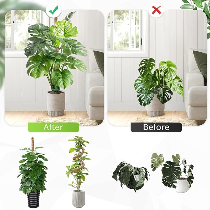 2 Pack Moss Pole Monstera Plant Support 63 Inch Bendable Monstera Support for Climbing Plants Extra Large Handmade Moss Poles Aluminum Plant Support Stakes Indoor Grow Upwards