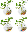 4 Pack Wall Hanging Plant Terrariums, Wall Mounted Hexagon Shape Glass Planter Flower Vase, Geometric Hydroponics Plant Propagator for Home Office Living Room Decor