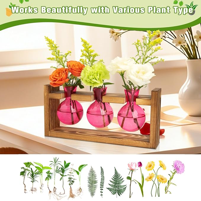 XXXFLOWER 3 Bulb Glass Propagation Station with Wooden Stand, Propagation Vase Propagated Plant Holders Tabletop Planter, Gardening Hydroponics Gifts Home Office Indoor Decor (Pink)