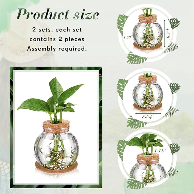 Baderke 2 Packs Propagation Vases for Plants Plastic Plant Propagation Station with Hole Lid and Cork Coasters Plant Growing in Water Hydroponic Home Office Table Decoration(Fish Bowl Style)