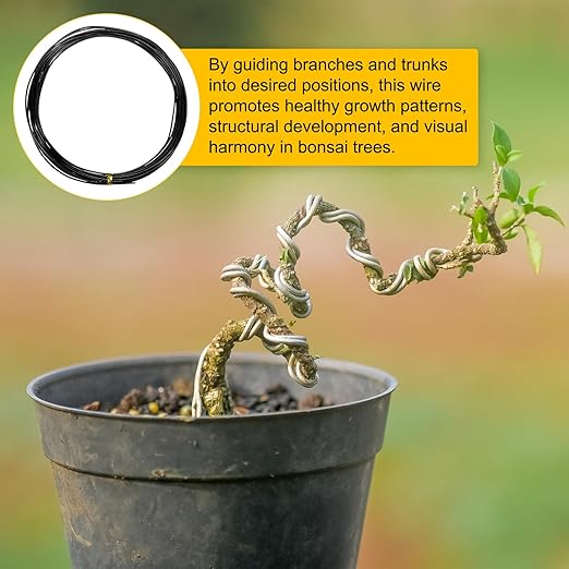 M METERXITY 2-Rolls 1mm Bonsai Training Wire, 32.8 Feet Total Anodized Aluminum Bonsai Wires for Bonsai Tree Shaping/Branches Fixing/Trunk Holding/DIY Crafting [16.4ft Each, Black]