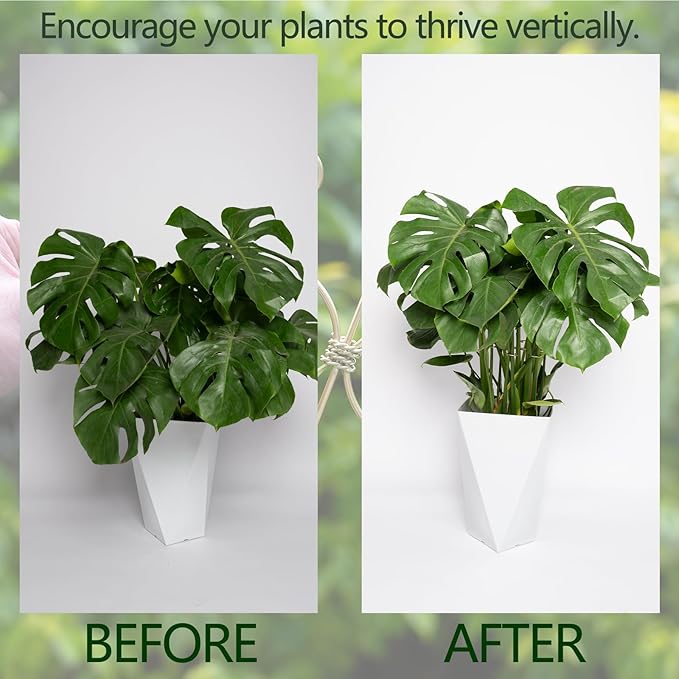 Yohsnor 6.5IN Monstera Plant Support Hook 5PCS Durable Stem Stabilizer for Indoor Plants | Easy Setup 5-Piece Set Ideal for Turtle Shell Leaf Support Ideal Present for Plant Lovers & Home Garden Décor