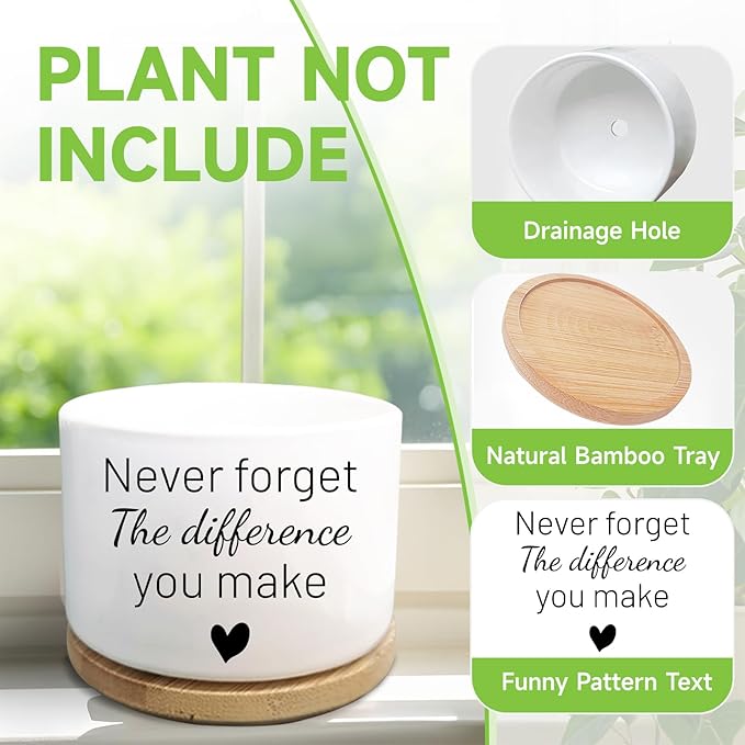 Funny Succulent Plant Pot, Thank You Gifts for Coworker Teacher, Cactus Flower Planter, Going Away Goodbye Appreciation Gifts for Women Men Friend Boss Manager (Plants Not Included)