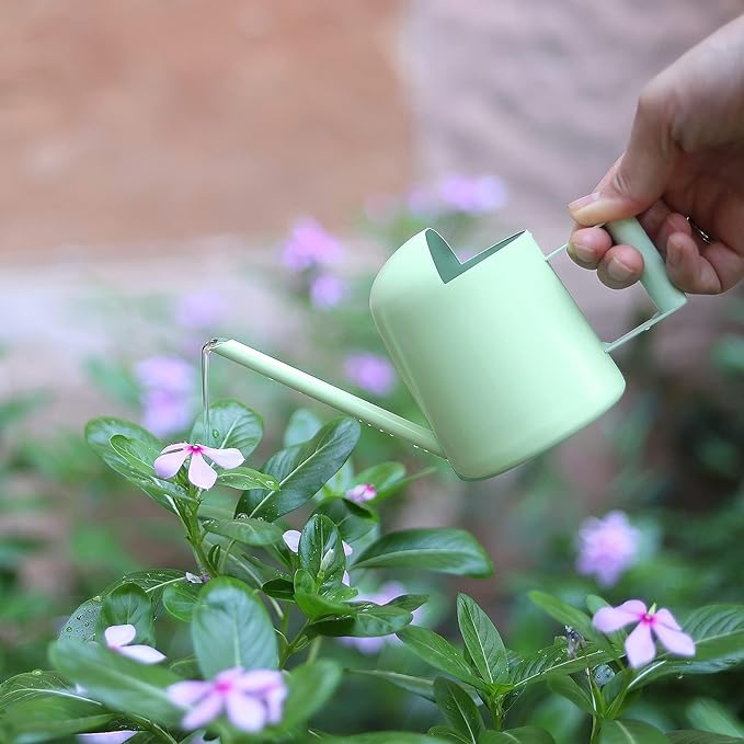 Mini Watering Can, 10oz/300ml Stainless Steel Long Spout Small Watering Can for Indoor Plants Succulents, Herbs (Green)