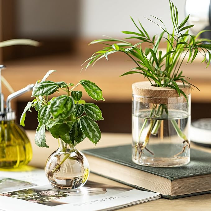 Plant Propagation Stations, 2 Style Glass Planter Terrariums, Propagation Vases for Plant, Plant Propagation Jars for Hydroponic Planter Home Office Tabletop Decoration (12)