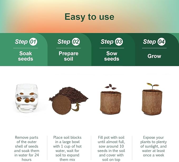 Herbsy Bonsai Tree Kit, Indoor Live House Plants Starter Kits, Mothers Day, Birthday Gifts for Women, Men, Gardening Lovers, Complete Bonzai Tree Growing Set