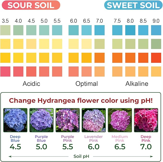 Soil pH Test Kit: Upgraded 125 Soil pH Test Strips with Measuring Cylinders for Accurate Testing pH Level of Garden Lawn Grass Flower Vegetable Compost Dirt (125)