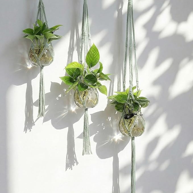 Colingmill 6 Pcs Plastic Plant Propagation with Boho Macrame Hanger Wall Plant Propagation Station Hanging Holder Include Hooks Kit for Indoor Home Garden Office Decor 3 Size (Sage Green)