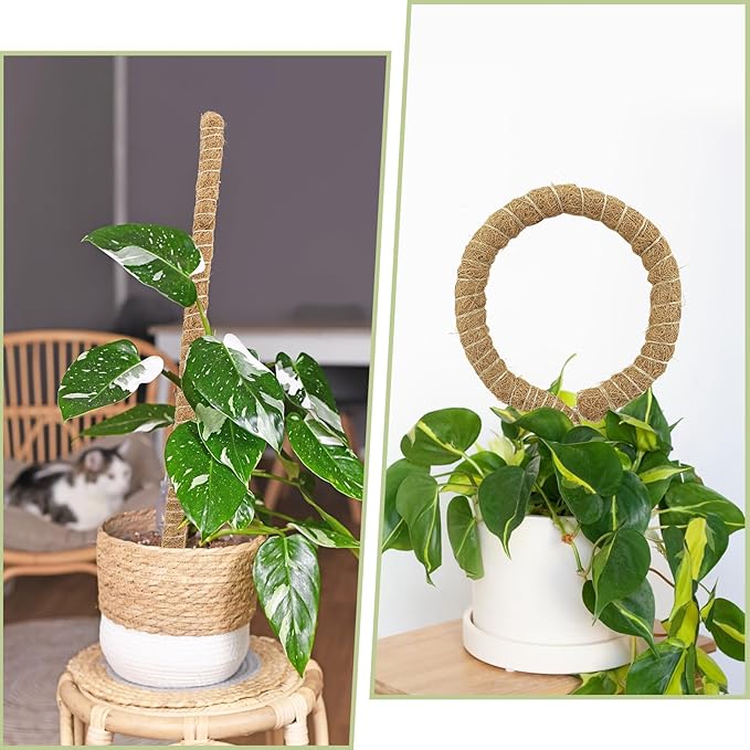 Deergo 30 Inch Moss Pole, 2 Pack Bendable Coconut Fiber Plant Support for Small Creeper Plants Climbing