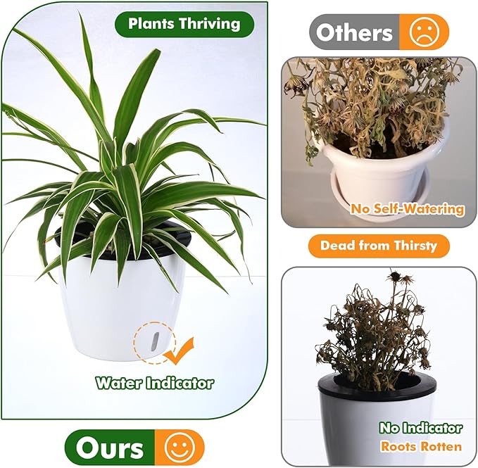 Planterhoma 5 Inch Self Watering Pots for Indoor Plants, 12 Packs African Violet Pots with Indicator, Black Wick Pot with Drainage Holes, Self Watering Planters for Orchid, Devil's Ivy, White